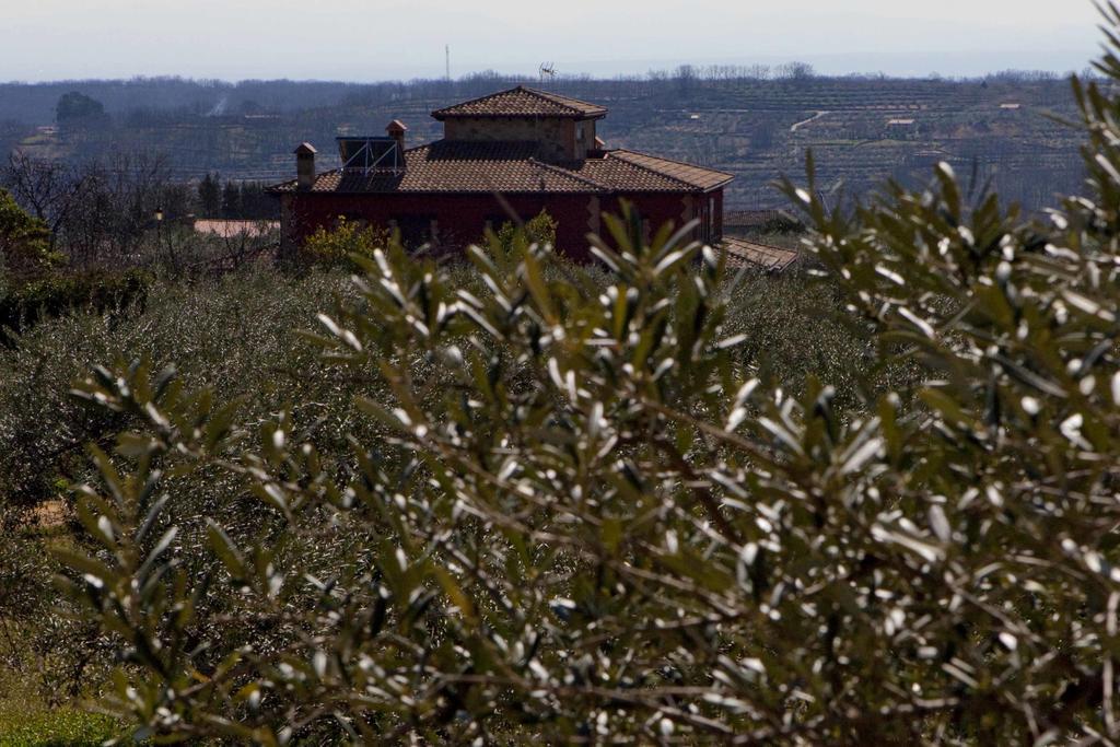 Casa Rural La Canchalera ロサル・デ・ラ・ベラ エクステリア 写真
